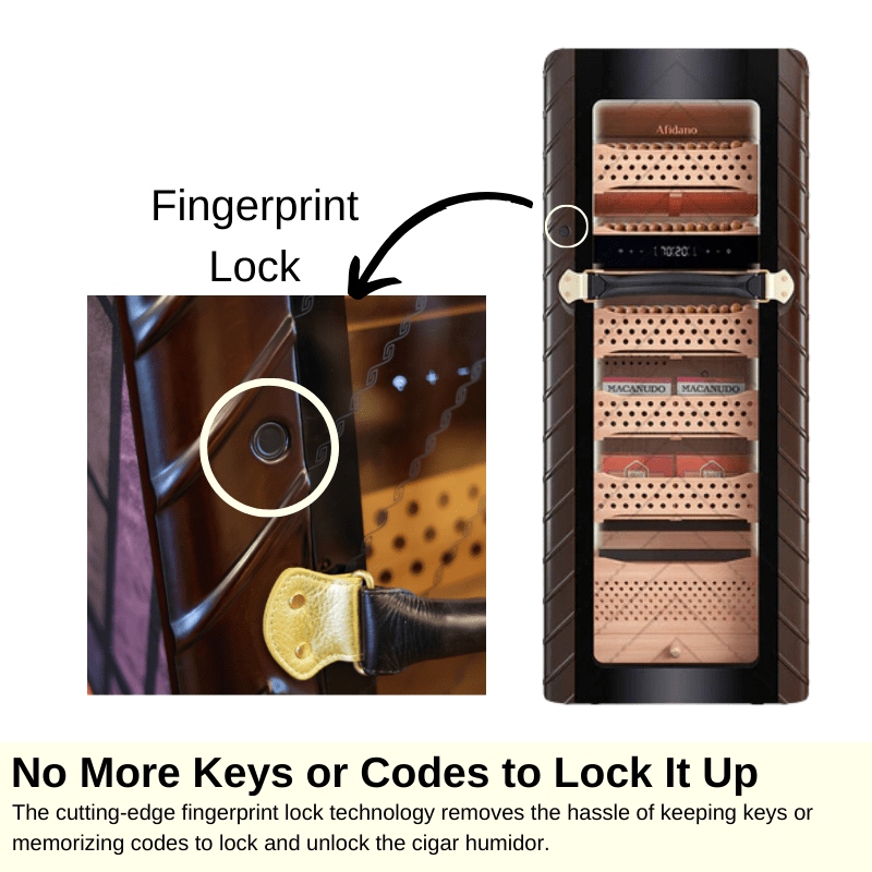 Afidano C8 Atelier Cigar Humidor Fingerprint Lock Technology